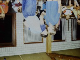 0DIA 1988 RAVAKAMP